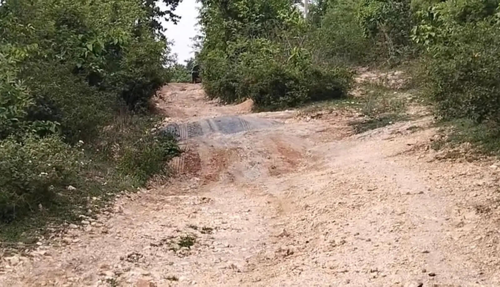 Hazaribagh Badkagaon Rural Problems, Sandhya News Hazaribagh, Hazaribagh News, बड़कागांव समाचार, हजारीबाग ग्रामीण समस्या