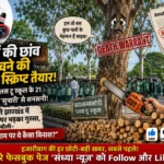 कटकमसांडी
