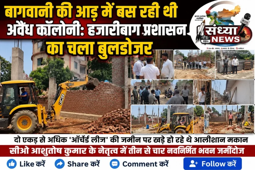 Hazaribagh Orchard Lease Encroachment