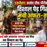 कार्मल चौक