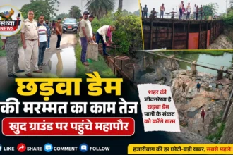 छड़वा डैम
