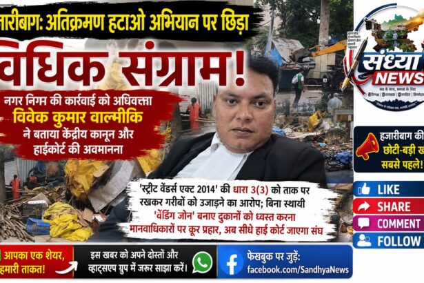 नगर निगम