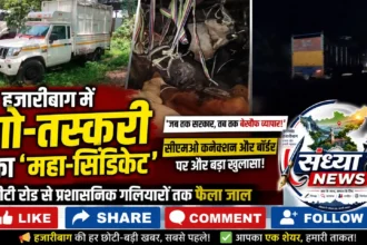 हजारीबाग में गो तस्करी