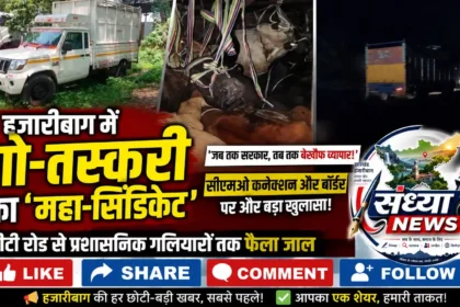हजारीबाग में गो तस्करी