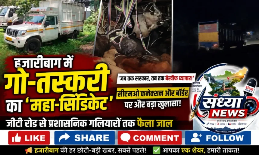 हजारीबाग में गो तस्करी